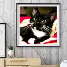 Load image into Gallery viewer, Long Whisker Black Cat 30*30CM(Canvas) Full Round Drill Diamond Painting