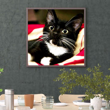Load image into Gallery viewer, Long Whisker Black Cat 30*30CM(Canvas) Full Round Drill Diamond Painting