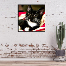 Load image into Gallery viewer, Long Whisker Black Cat 30*30CM(Canvas) Full Round Drill Diamond Painting