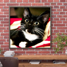 Load image into Gallery viewer, Long Whisker Black Cat 30*30CM(Canvas) Full Round Drill Diamond Painting