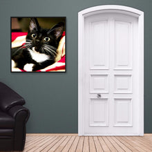 Load image into Gallery viewer, Long Whisker Black Cat 30*30CM(Canvas) Full Round Drill Diamond Painting