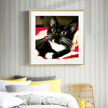 Load image into Gallery viewer, Long Whisker Black Cat 30*30CM(Canvas) Full Round Drill Diamond Painting