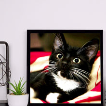 Load image into Gallery viewer, Long Whisker Black Cat 30*30CM(Canvas) Full Round Drill Diamond Painting