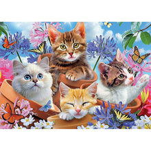 Load image into Gallery viewer, Four Cat in Flower 40*30cm(canvas) full round drill diamond painting