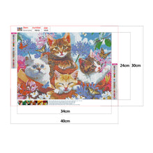 Load image into Gallery viewer, Four Cat in Flower 40*30cm(canvas) full round drill diamond painting