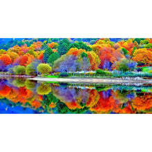 Load image into Gallery viewer, Color Forest 85*45CM(Canvas) Full Round Drill Diamond Painting