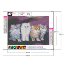 Load image into Gallery viewer, Cat Family 40*30cm(canvas) full round drill diamond painting