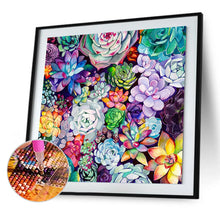 Load image into Gallery viewer, Succulent Plant 30*30cm (canvas) full round drill diamond painting