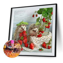 Load image into Gallery viewer, Fruit Hedgehog 30*30cm(canvas) full round drill diamond painting