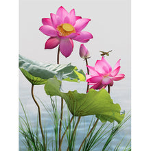 Load image into Gallery viewer, Dragonfly Lotus 30*40cm(canvas) full round drill diamond painting