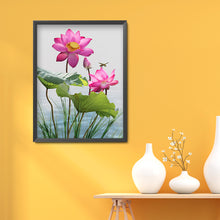 Load image into Gallery viewer, Dragonfly Lotus 30*40cm(canvas) full round drill diamond painting