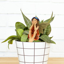 Load image into Gallery viewer, Mini Fairy Figurines Elf Set Resin Miniatures Garden Landscape Decoration