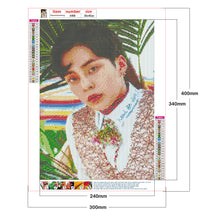 Load image into Gallery viewer, EXO Figure 30*40CM(Canvas) Full Round Drill Diamond Painting