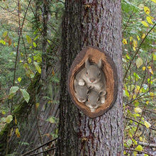 Load image into Gallery viewer, Resin Squirrel Garden Statue Gift Outdoor Decoration Courtyard Accessories