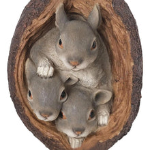 Load image into Gallery viewer, 2X Resin Squirrel Garden Statue Gift Outdoor Decoration Courtyard Accessories