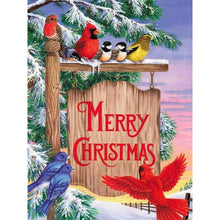 Load image into Gallery viewer, Diamond Painting - Full Round - Christmas snow bird (30*40CM)