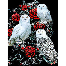 Load image into Gallery viewer, Diamond Painting - Full Round - rose owl (30*40CM)