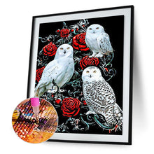 Load image into Gallery viewer, Diamond Painting - Full Round - rose owl (30*40CM)