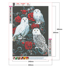 Load image into Gallery viewer, Diamond Painting - Full Round - rose owl (30*40CM)