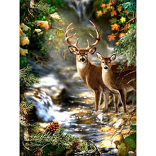 Load image into Gallery viewer, Diamond Painting - Full Round - (30*40CM)
