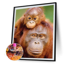 Load image into Gallery viewer, Diamond Painting - Full Round - ape (30*40CM)