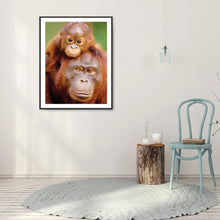 Load image into Gallery viewer, Diamond Painting - Full Round - ape (30*40CM)
