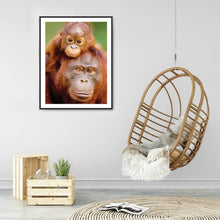 Load image into Gallery viewer, Diamond Painting - Full Round - ape (30*40CM)