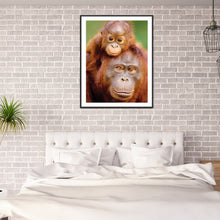 Load image into Gallery viewer, Diamond Painting - Full Round - ape (30*40CM)