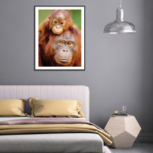 Load image into Gallery viewer, Diamond Painting - Full Round - ape (30*40CM)