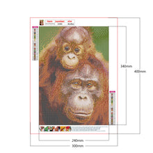 Load image into Gallery viewer, Diamond Painting - Full Round - ape (30*40CM)