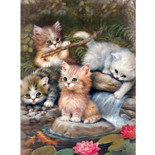 Load image into Gallery viewer, Diamond Painting - Full Square - cat (30*40CM)
