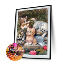 Load image into Gallery viewer, Diamond Painting - Full Square - cat (30*40CM)
