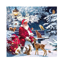 Load image into Gallery viewer, Diamond Painting - Full Square - Santa Claus (30*30CM)