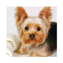 Load image into Gallery viewer, Diamond Painting - Full Square - puppy (40*40CM)