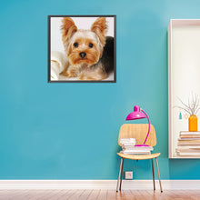 Load image into Gallery viewer, Diamond Painting - Full Square - puppy (40*40CM)