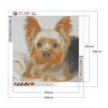 Load image into Gallery viewer, Diamond Painting - Full Square - puppy (40*40CM)
