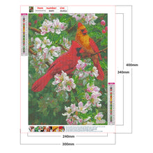Load image into Gallery viewer, Diamond Painting - Full Round - birds (30*40CM)