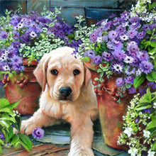 Load image into Gallery viewer, Diamond Painting - Full Round - dog (30*30CM)