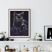 Load image into Gallery viewer, Diamond Painting - Full Round - black cat portrait (30*40CM)
