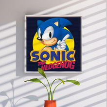Load image into Gallery viewer, Diamond Painting - Full Round - Sonic the Hedgehog (30*30CM)