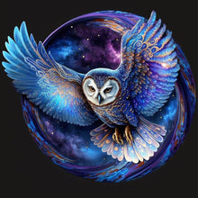 Load image into Gallery viewer, Diamond Painting - Full Round - star owl (30*30CM)