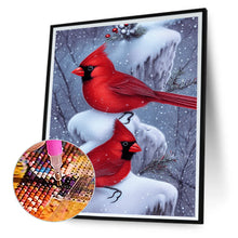 Load image into Gallery viewer, Diamond Painting - Full Round - cardinal bird (30*40CM)