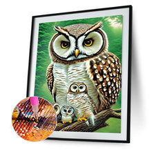 Load image into Gallery viewer, Diamond Painting - Full Round - owl (30*40CM)