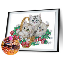 Load image into Gallery viewer, Diamond Painting - Partial Special Shaped - flower cat (40*30CM)