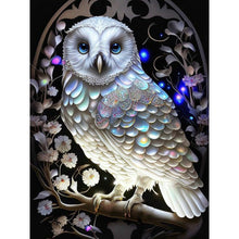 Load image into Gallery viewer, Diamond Painting - Full Round - Luminous Owl (30*40CM)