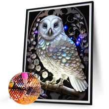Load image into Gallery viewer, Diamond Painting - Full Round - Luminous Owl (30*40CM)