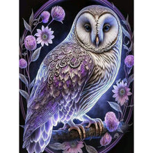 Load image into Gallery viewer, Diamond Painting - Full Round - Luminous Owl (30*40CM)