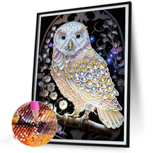 Load image into Gallery viewer, Diamond Painting - Partial Special Shaped - owl (30*40CM)