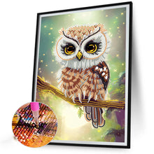 Load image into Gallery viewer, Diamond Painting - Partial Special Shaped - owl (30*40CM)