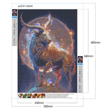 Load image into Gallery viewer, Diamond Painting - Full Round - twelve constellations (30*40CM)
